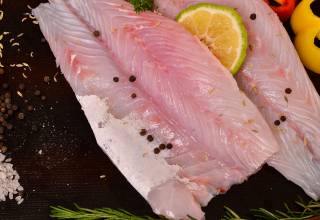 fillet-1